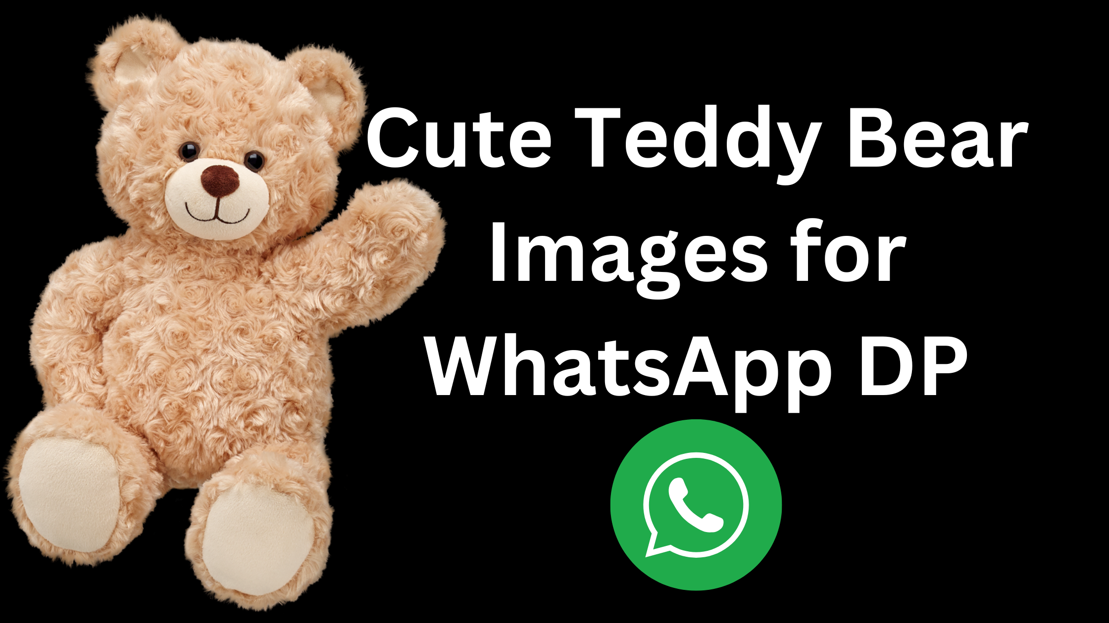 Cute Teddy Bear Images for WhatsApp DP